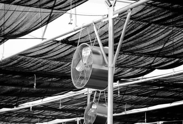 Καύσωνας πλήττει την Ελλάδα και τα Βαλκάνια: Τουρίστες και εργάτες αναζητούν ανακούφιση