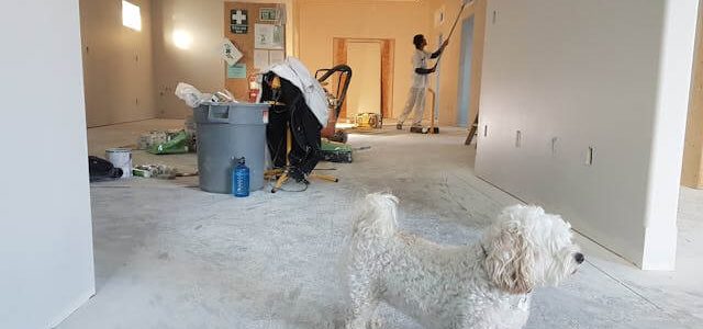 Η ανακαίνιση που μετατράπηκε σε Έργο 1 Εκατομμυρίου Δολαρίων