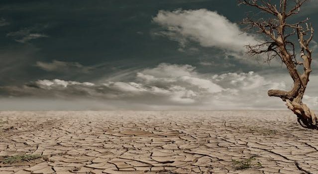 Η Μεσόγειος Αλλάζει: Κλιματική Αλλαγή και Τουρισμός
