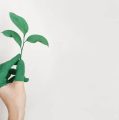 IEA: Μειώνει τις προβλέψεις για τις ανανεώσιμες πηγές