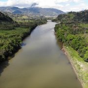 Οι επιστήμονες ενεργοποιούν «χρονομηχανή» κλίματος στον Αμαζόνιο