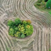 Τι είναι η COP30;