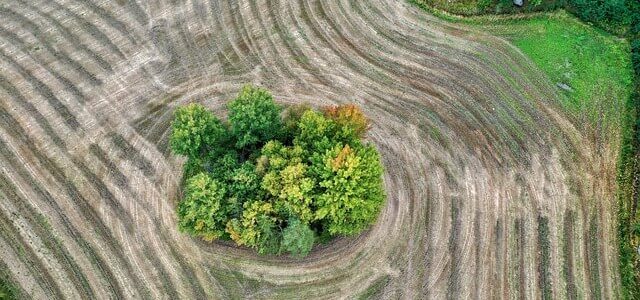 Τι είναι η COP30;