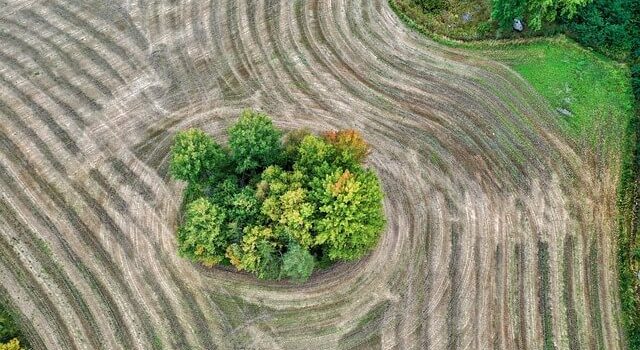 Τι είναι η COP30;