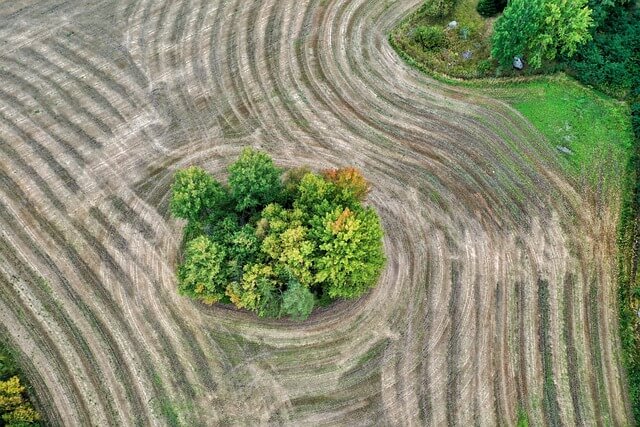 Τι είναι η COP30;